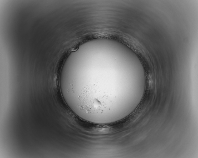 X0000095960514200801251153