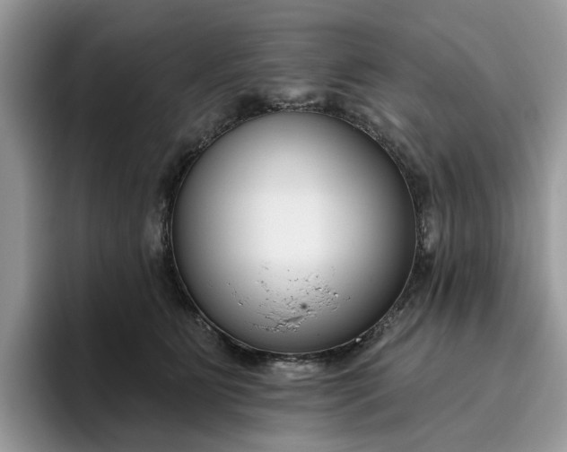 X0000095960515200801251153