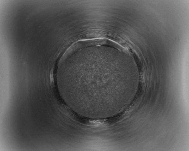 X0000095960516200801251153