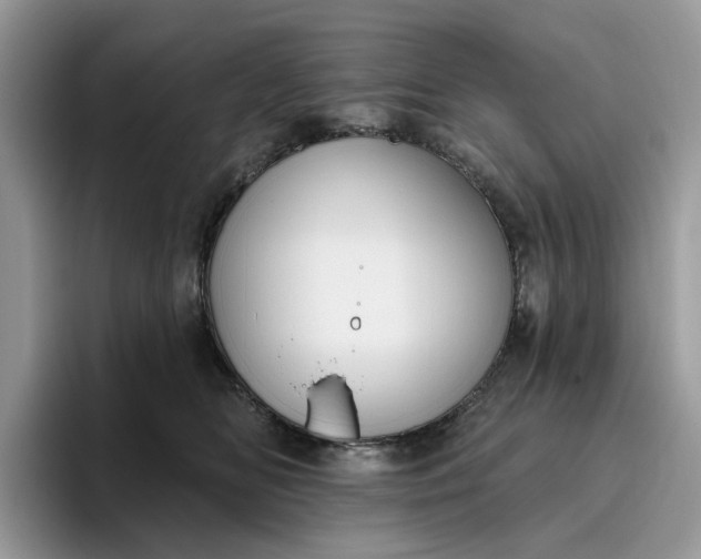 X0000095960518200801251152