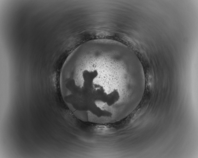 X0000095960519200801251152