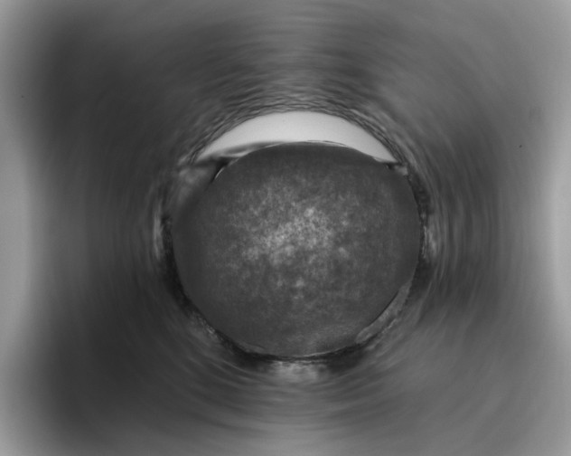 X0000095960520200801251152