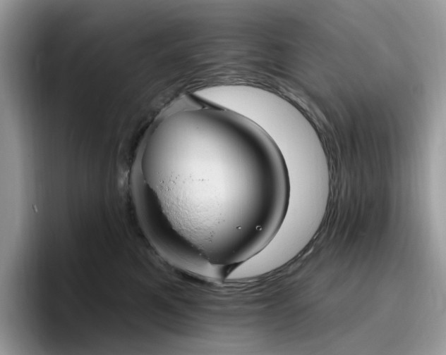 X0000095960521200801251152