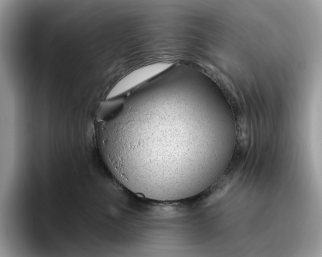 X0000095960523200801251152