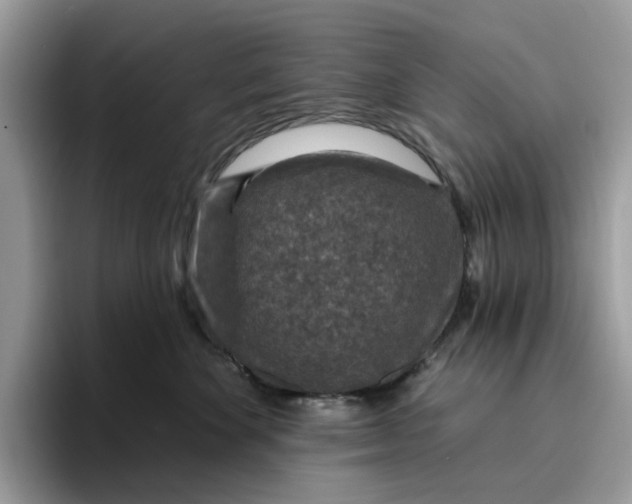 X0000095960524200801251152