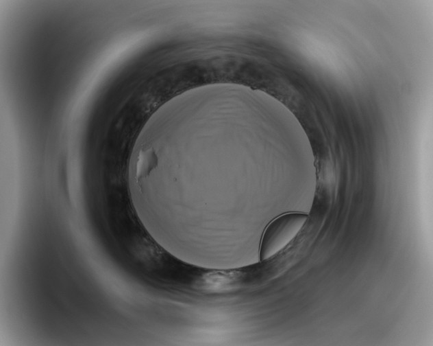 X0000095960526200801251152