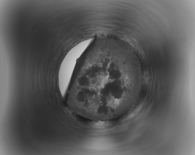 X0000095960527200801251152