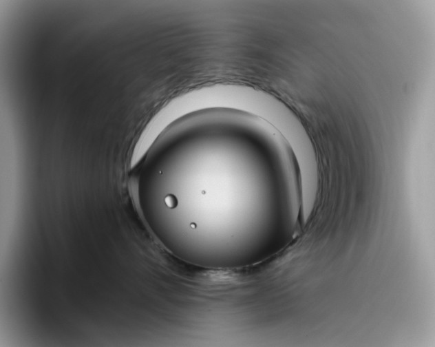 X0000095960528200801251152