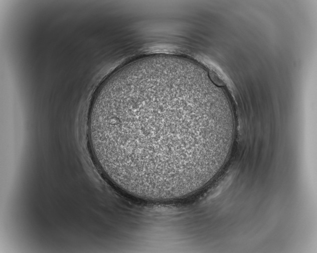 X0000095960529200801251152