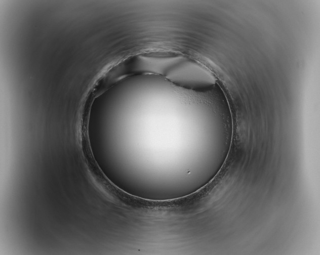 X0000095960530200801251152