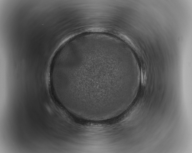 X0000095960531200801251152