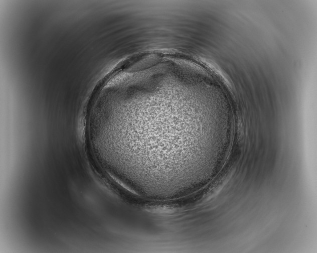 X0000095960533200801251152