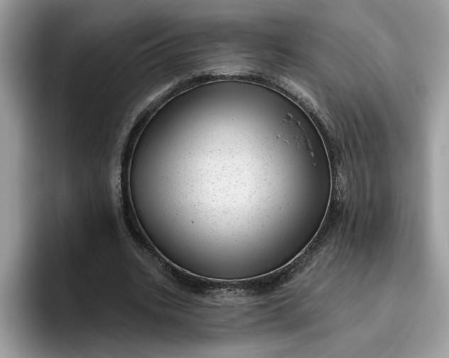 X0000095960535200801251152