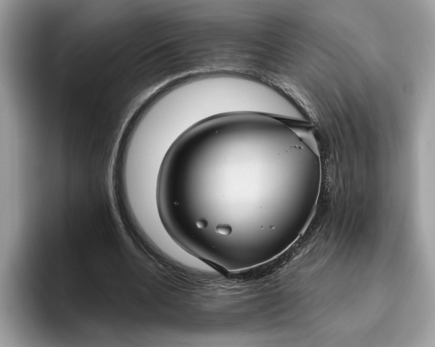 X0000095960536200801251152