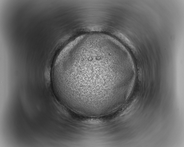 X0000095960537200801251152