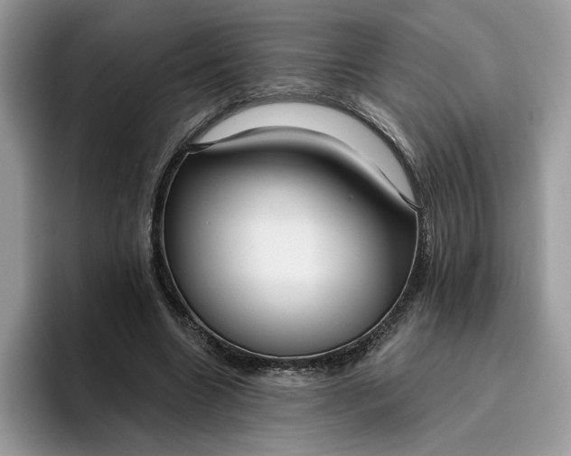 X0000095960538200801251152