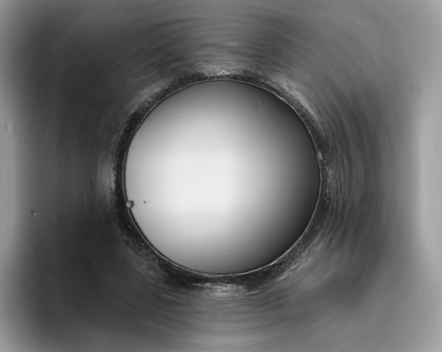 X0000095960539200801251152