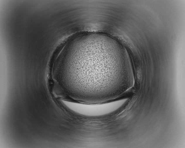 X0000095960540200801251152