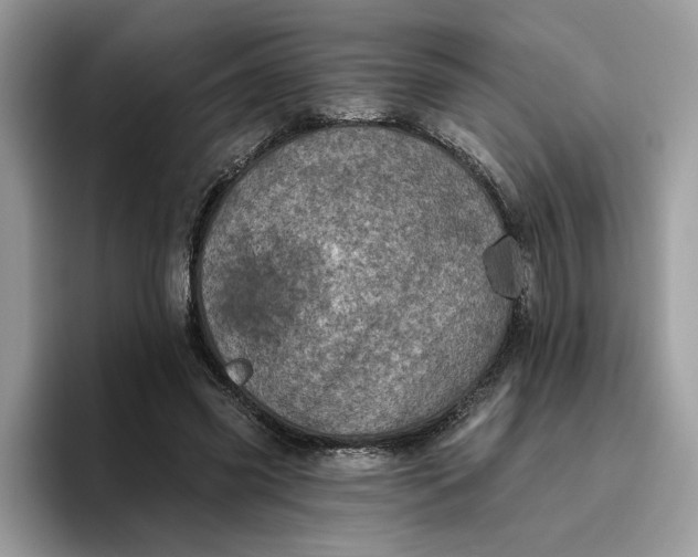 X0000095960541200801251152