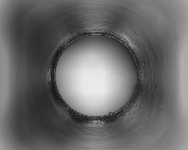 X0000095960543200801251152