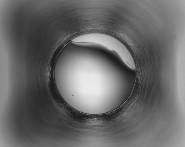 X0000095960544200801251152