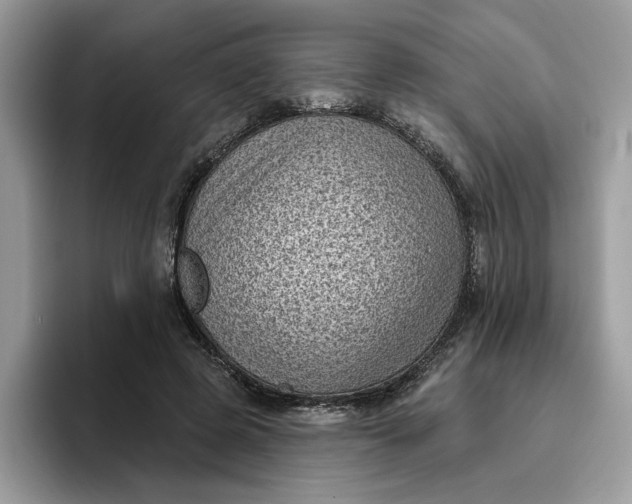 X0000095960545200801251152