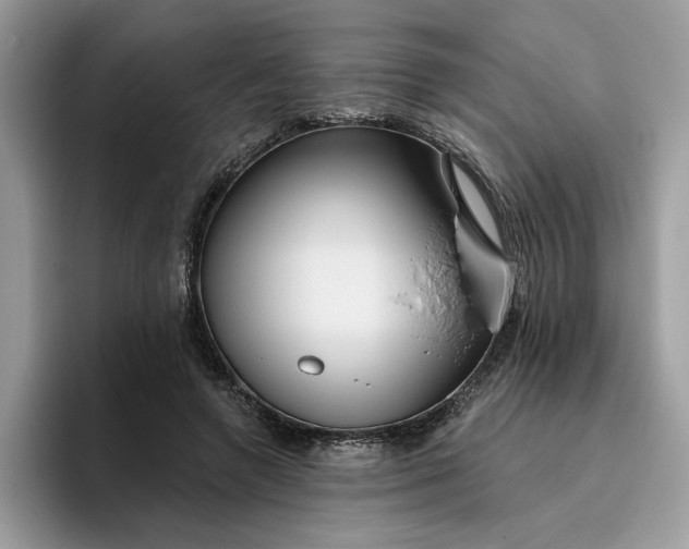 X0000095960546200801251152