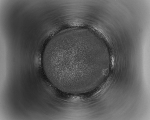 X0000095960547200801251152