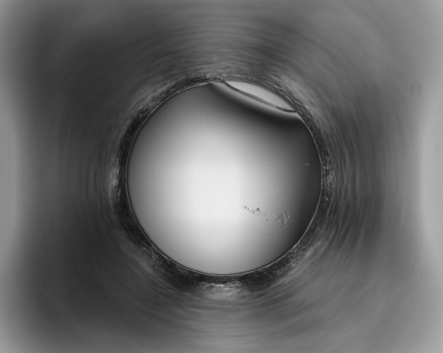 X0000095960548200801251152