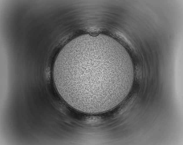 X0000095960549200801251152