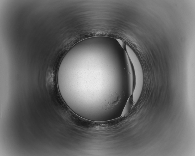 X0000095960550200801251152