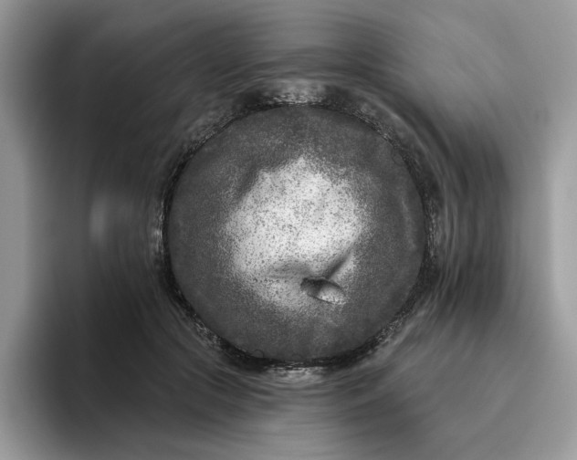 X0000095960553200801251152