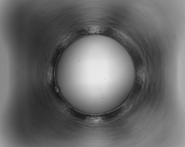 X0000095960554200801251152