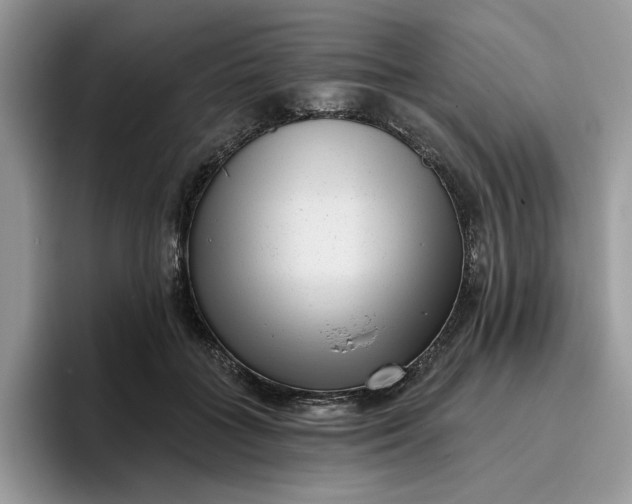 X0000095960555200801251152