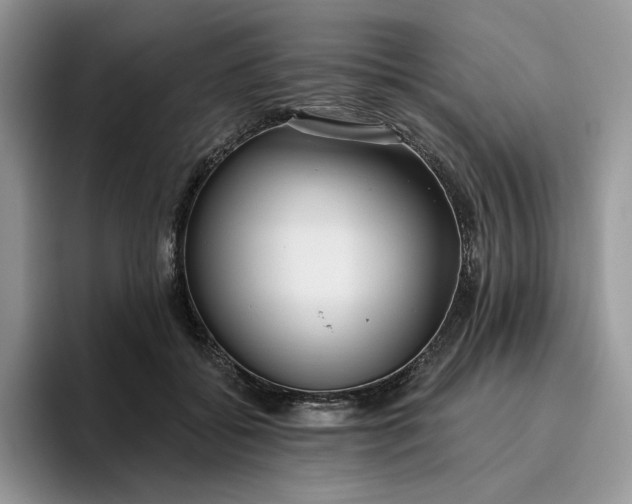 X0000095960556200801251152