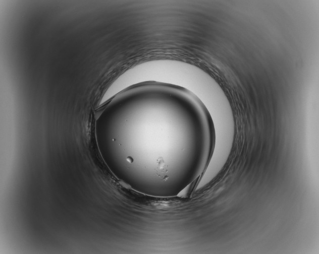 X0000095960558200801251152