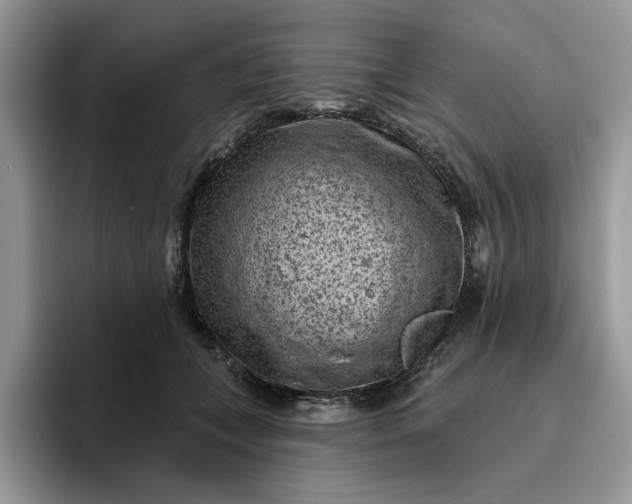 X0000095960559200801251152