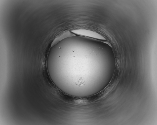 X0000095960561200801251152