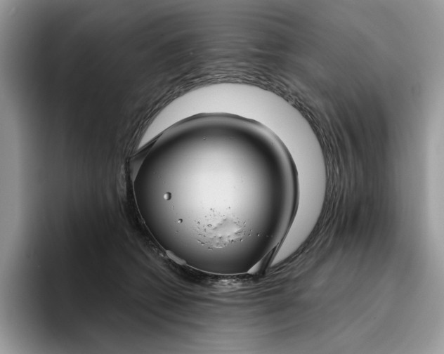 X0000095960562200801251152