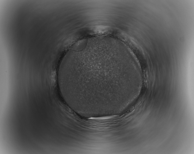 X0000095960563200801251152