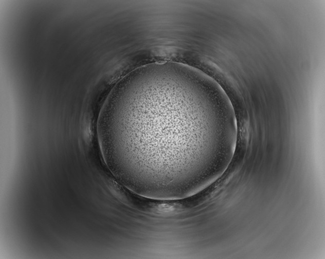 X0000095960566200801251152