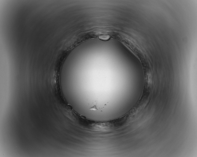 X0000095960567200801251152