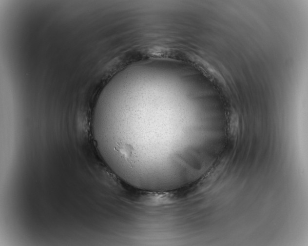 X0000095960569200801251152