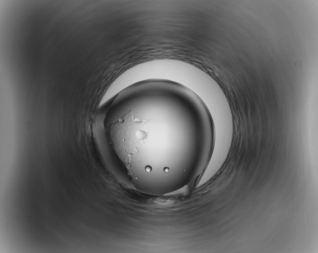 X0000095960570200801251152