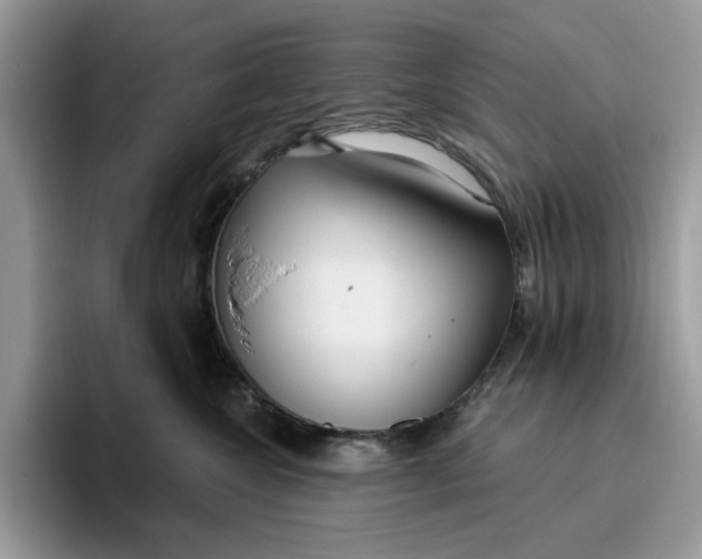 X0000095960572200801251152