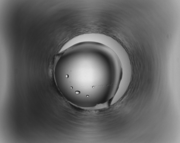 X0000095960576200801251152