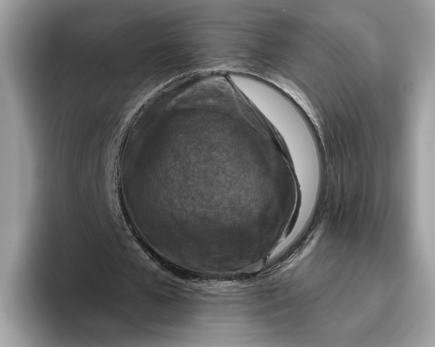 X0000095960577200801251152