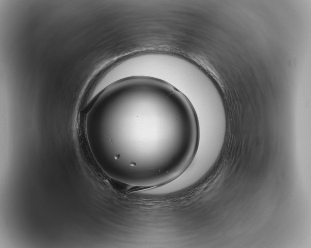 X0000095960579200801251152