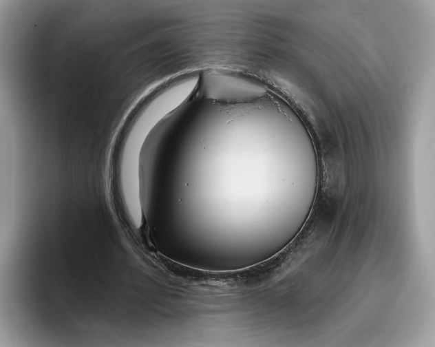 X0000095960580200801251152