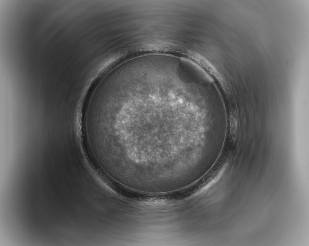 X0000095960581200801251152